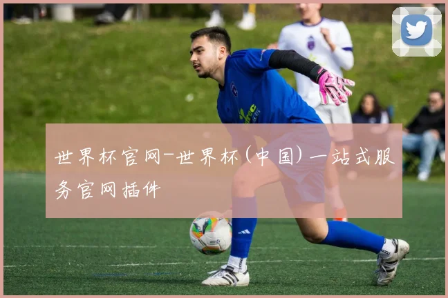 世界杯官网-世界杯(中国)一站式服务官网插件