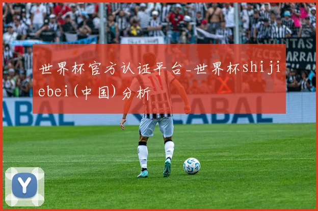 世界杯官方认证平台_世界杯shijiebei(中国)分析