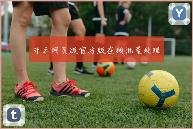 开云网页版官方版在线批量处理