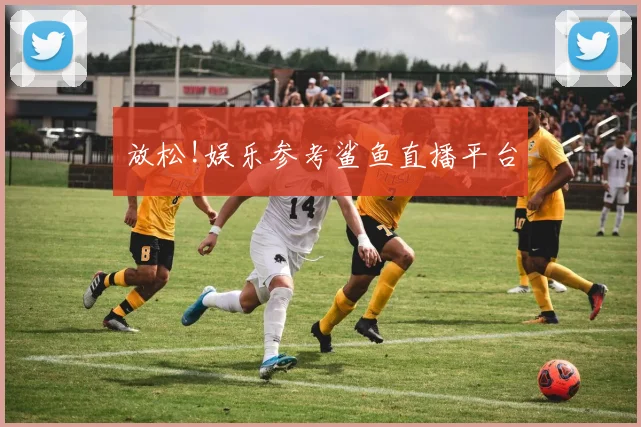 放松!娱乐参考鲨鱼直播平台