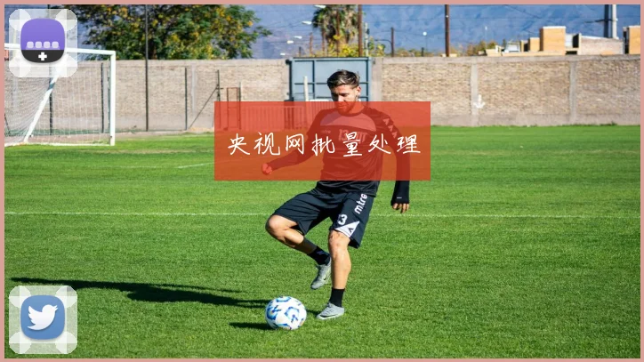 央视网批量处理