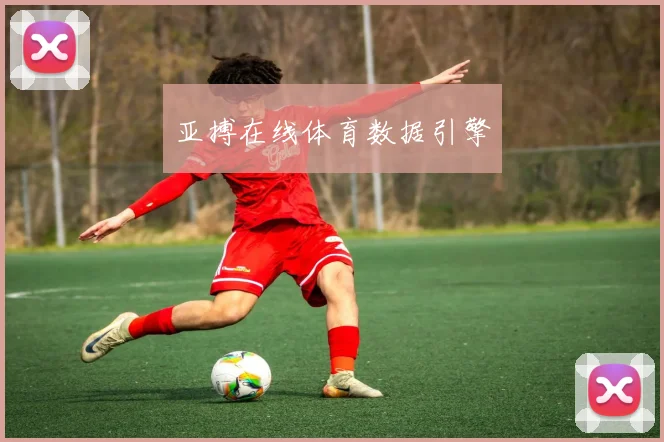 亚搏在线体育数据引擎