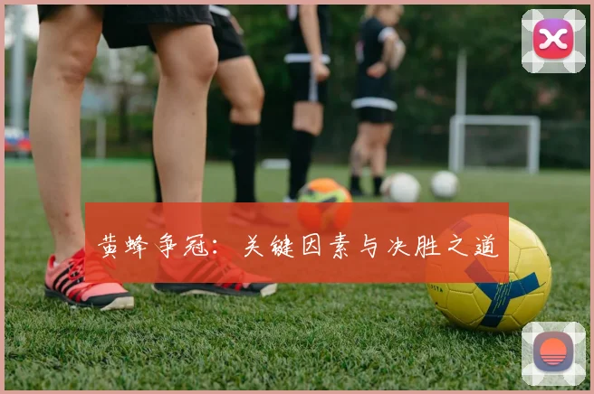 黄蜂争冠：关键因素与决胜之道