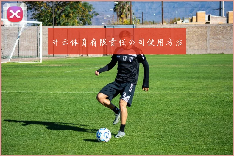 开云体育有限责任公司使用方法