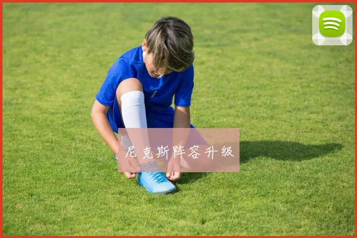 尼克斯阵容升级