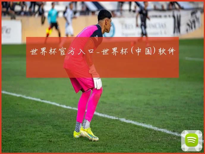 世界杯官方入口_世界杯(中国)软件