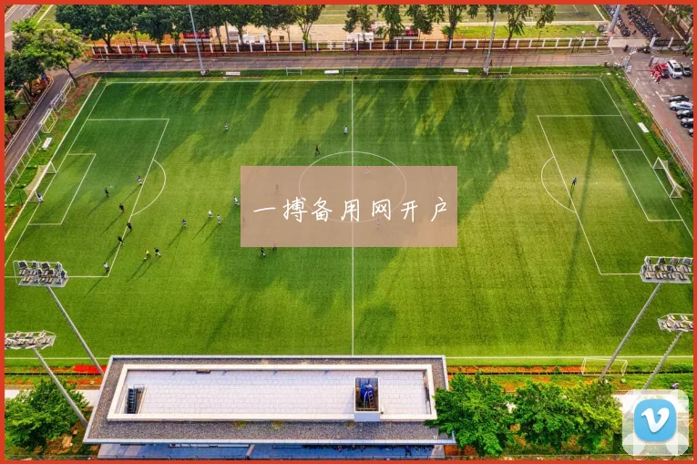 一搏备用网开户
