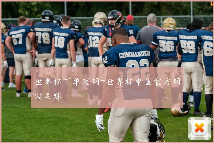 世界杯下单官网-世界杯中国官方网站足球