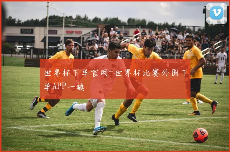 世界杯下单官网-世界杯比赛外围下单APP一键