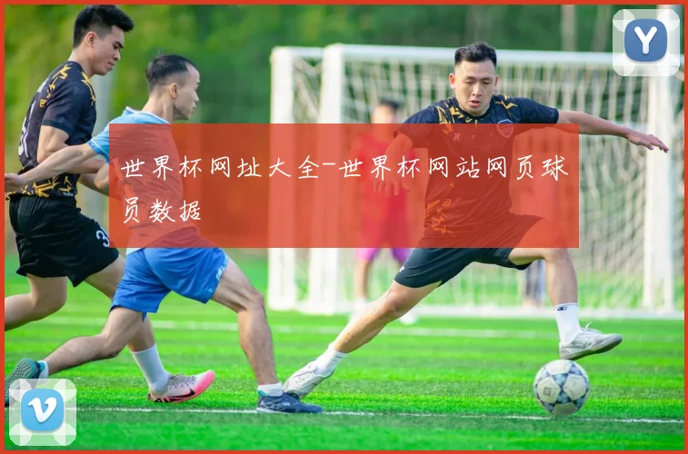 世界杯网址大全-世界杯网站网页球员数据