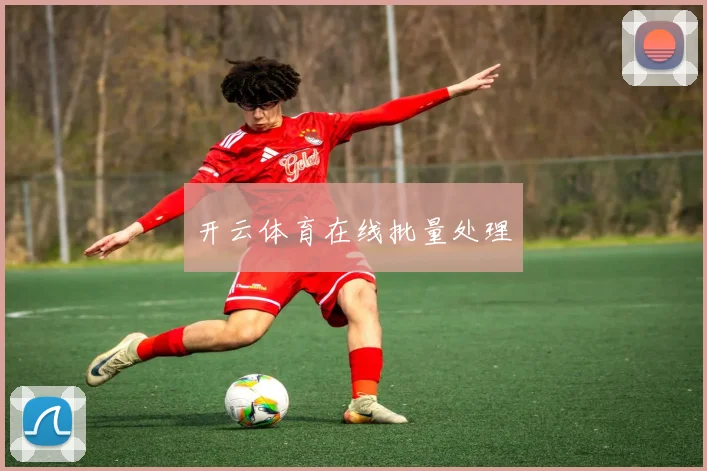 开云体育在线批量处理
