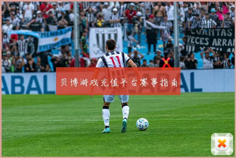 贝博游戏充值平台赛事指南