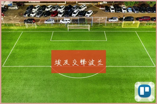 埃及交锋波兰