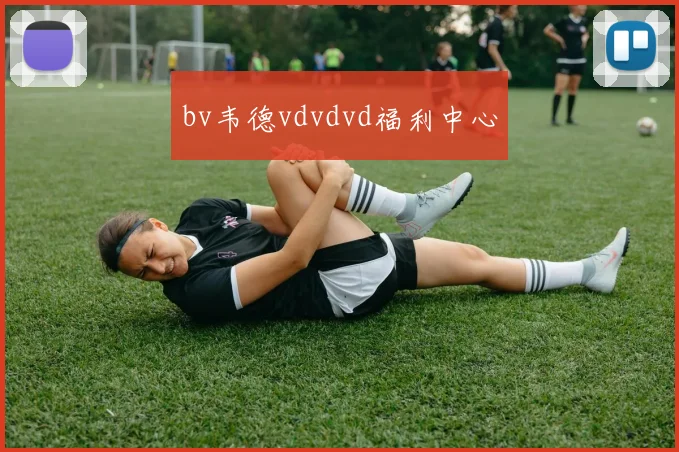 bv韦德vdvdvd福利中心