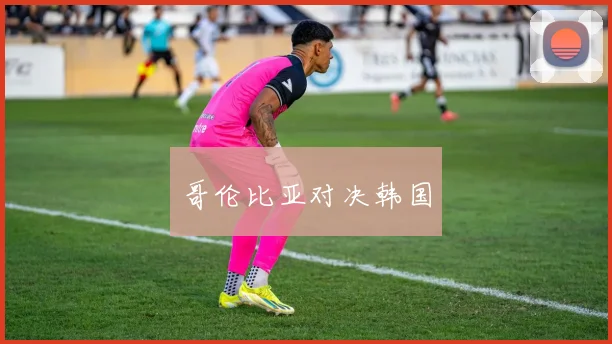 哥伦比亚对决韩国