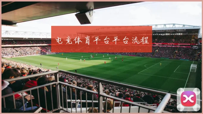 电竞体育平台平台流程