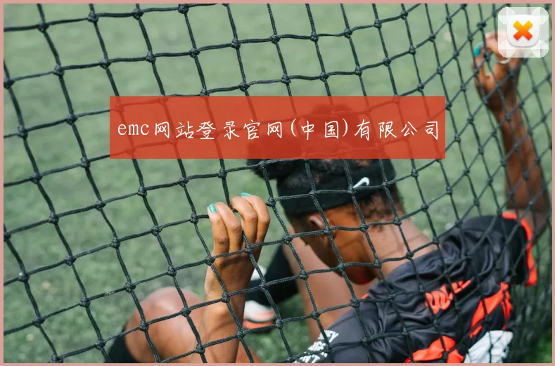 emc网站登录官网(中国)有限公司