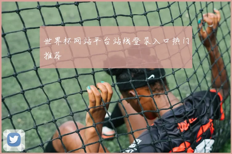 世界杯网站平台站线登录入口热门推荐