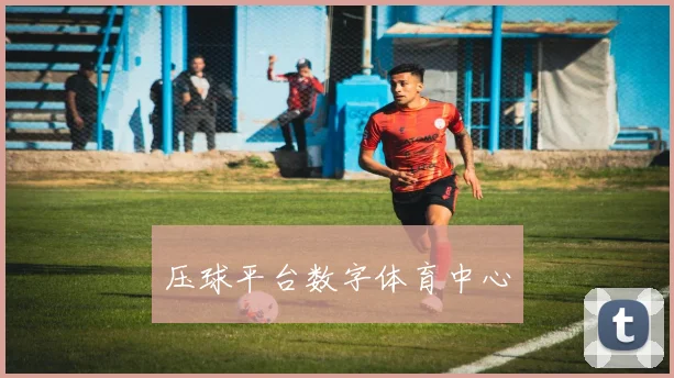 压球平台数字体育中心