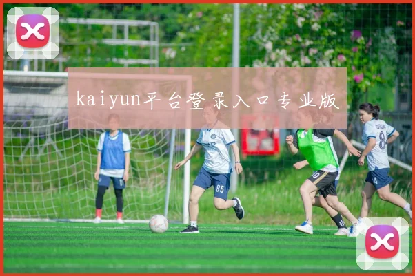 kaiyun平台登录入口专业版
