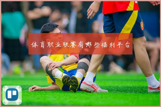 体育职业联赛有哪些福利平台