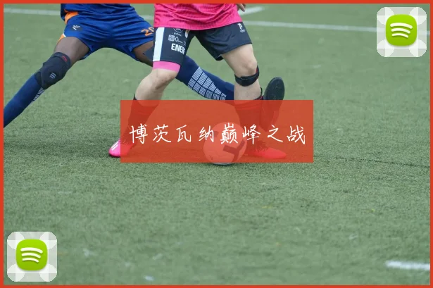 博茨瓦纳巅峰之战