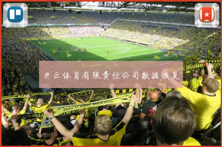 开云体育有限责任公司数据恢复