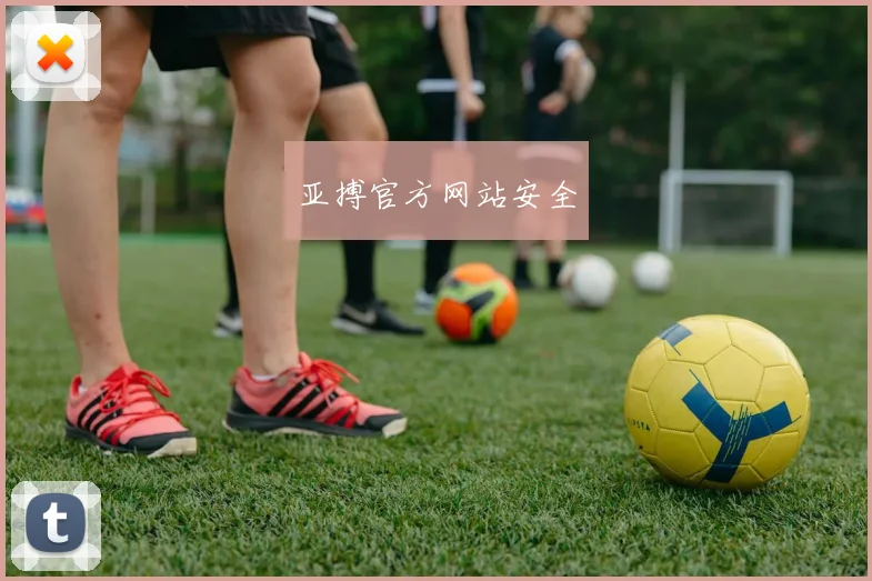 亚搏官方网站安全