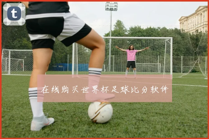 在线购买世界杯足球比分软件