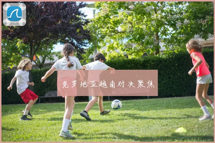克罗地亚越南对决聚焦