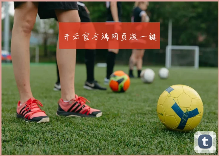 开云官方端网页版一键