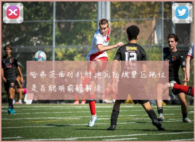 哈弗茨面对科特迪瓦防线禁区跑位是否聪明前瞻解读